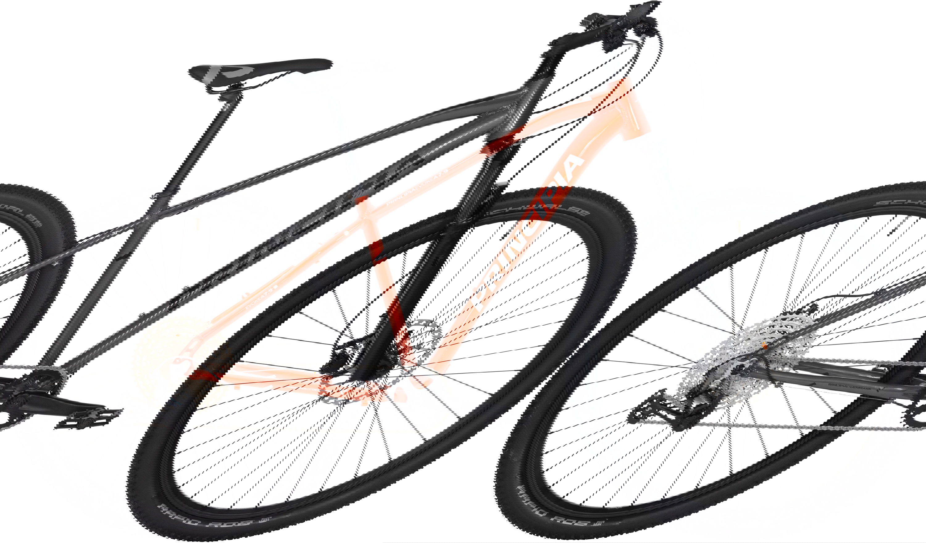 Principia Ampquot 12g 2023 Orange - Principia Skabe  - 5707965290419